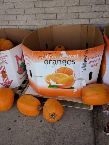 Morning Picdump