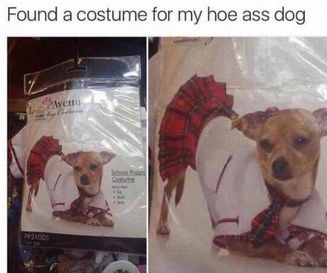 Dirty Humor Wants You Bad!