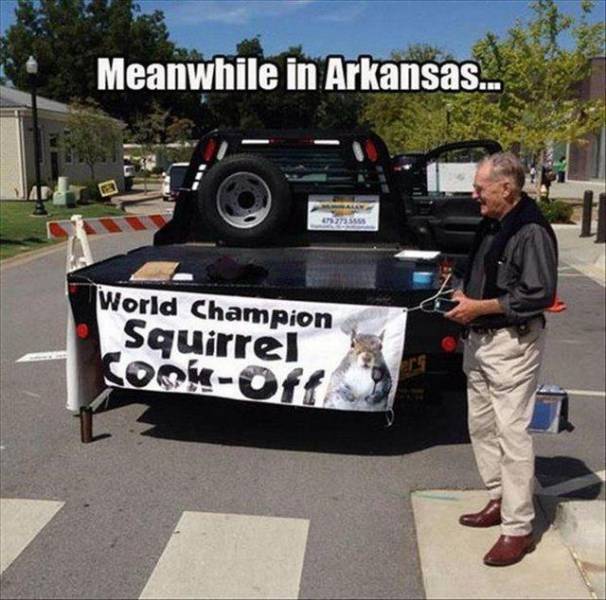 Daily Picdump [WEEKEND EDITION]