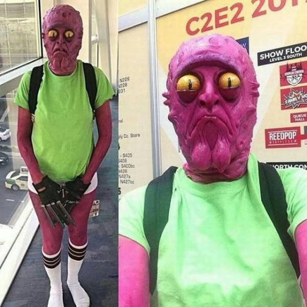 Daily Picdump [WEEKEND EDITION]