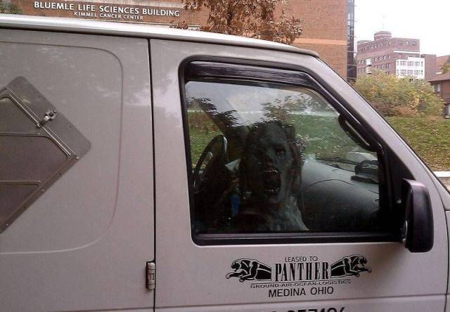 Daily Picdump [WEEKEND EDITION]