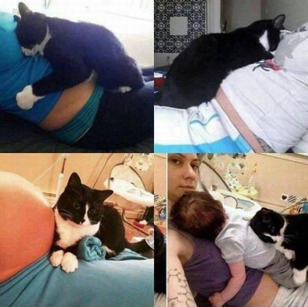 Daily Picdump