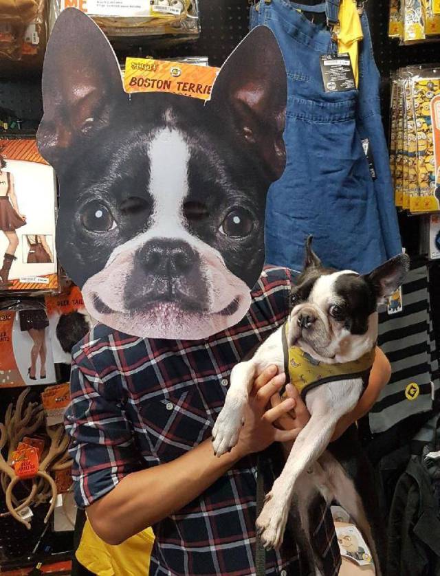 Daily Picdump