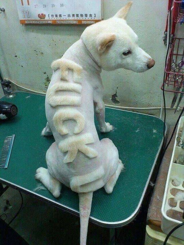 Daily Picdump