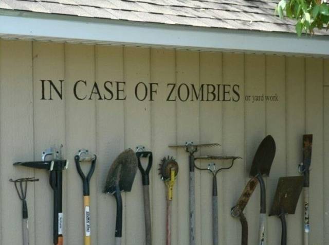 Daily Picdump