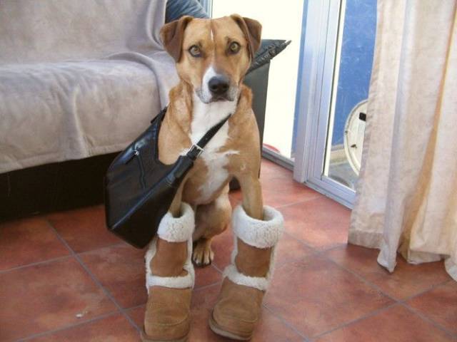 Daily Picdump