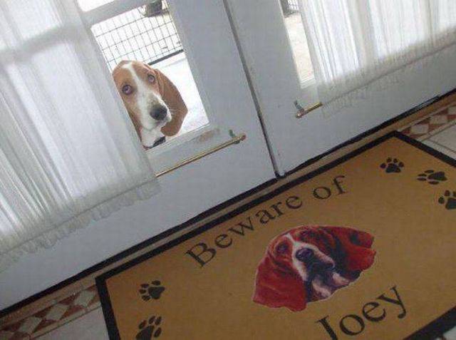 Daily Picdump