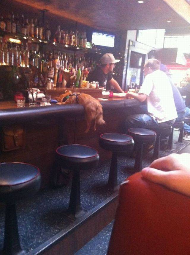 Daily Picdump
