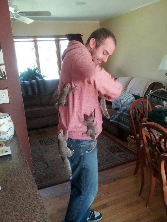 Daily Picdump