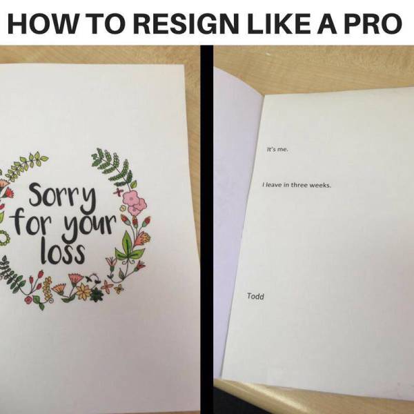 Morning Picdump