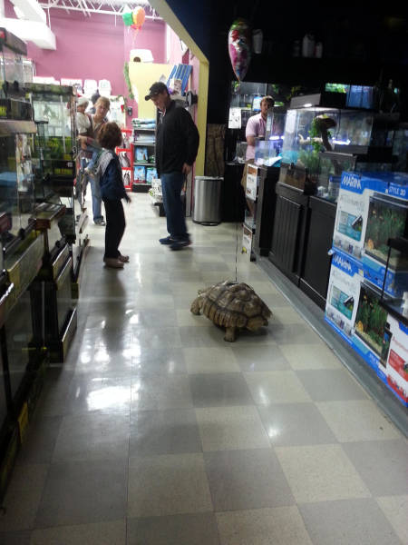 Morning Picdump