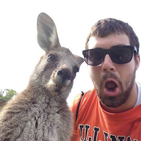 Australia: Yes Or No? Hard Decision!
