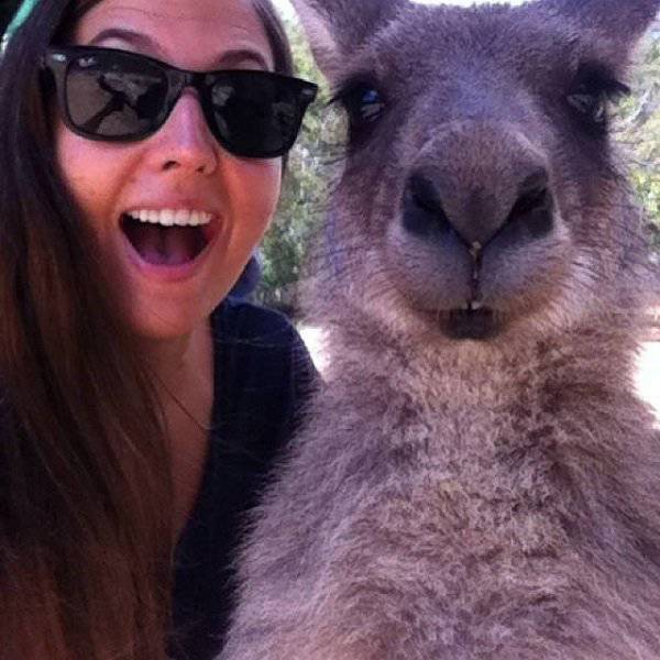 Australia: Yes Or No? Hard Decision!