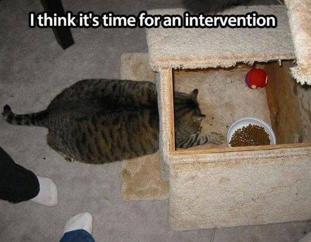 Daily Picdump