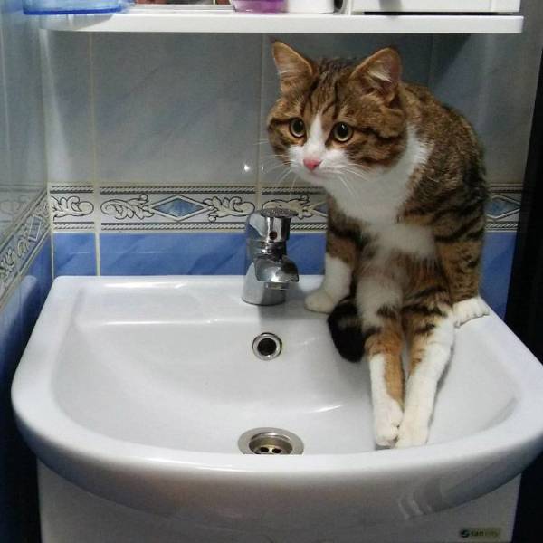 Daily Picdump