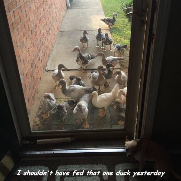Daily Picdump