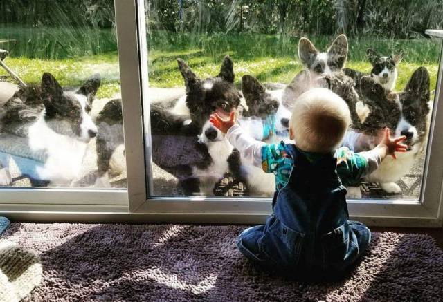 Daily Picdump
