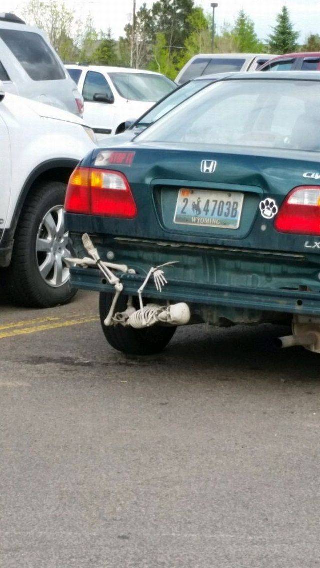 Daily Picdump