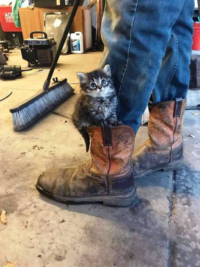 Daily Picdump