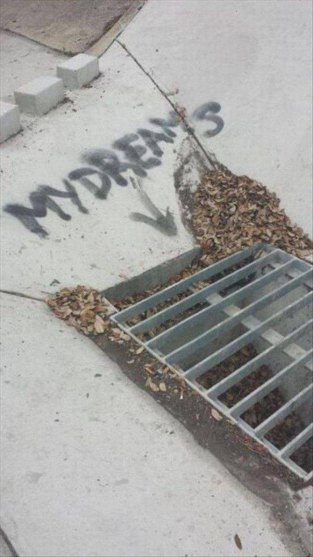 Daily Picdump