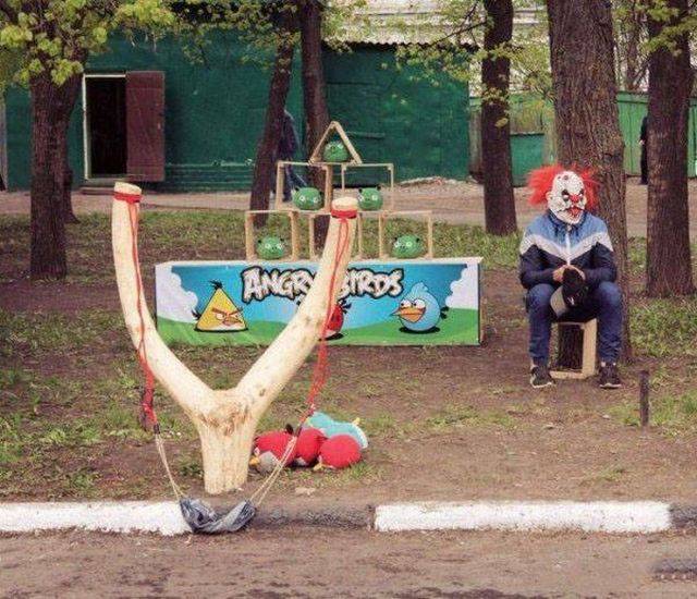 Daily Picdump