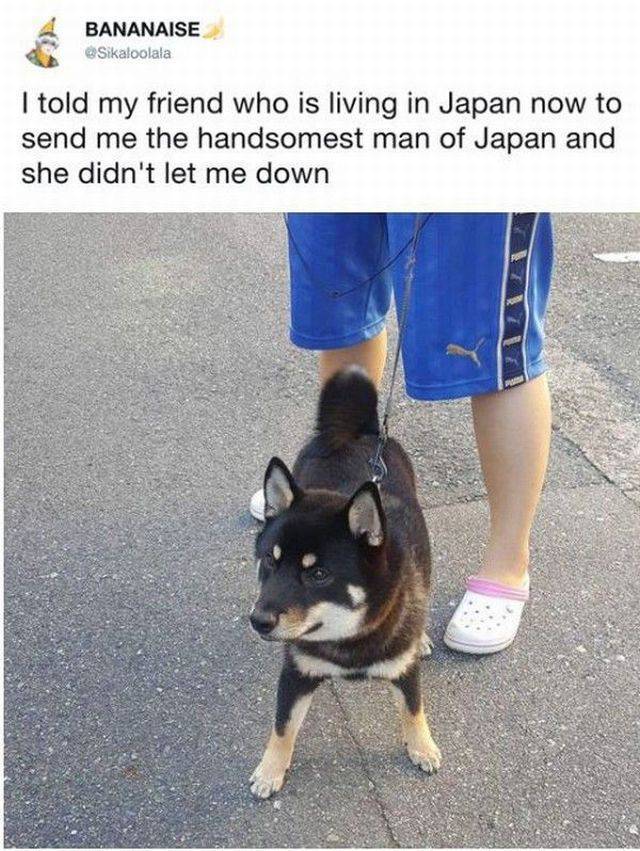 Daily Picdump