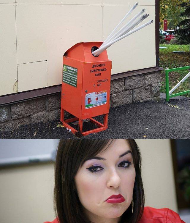 Daily Picdump