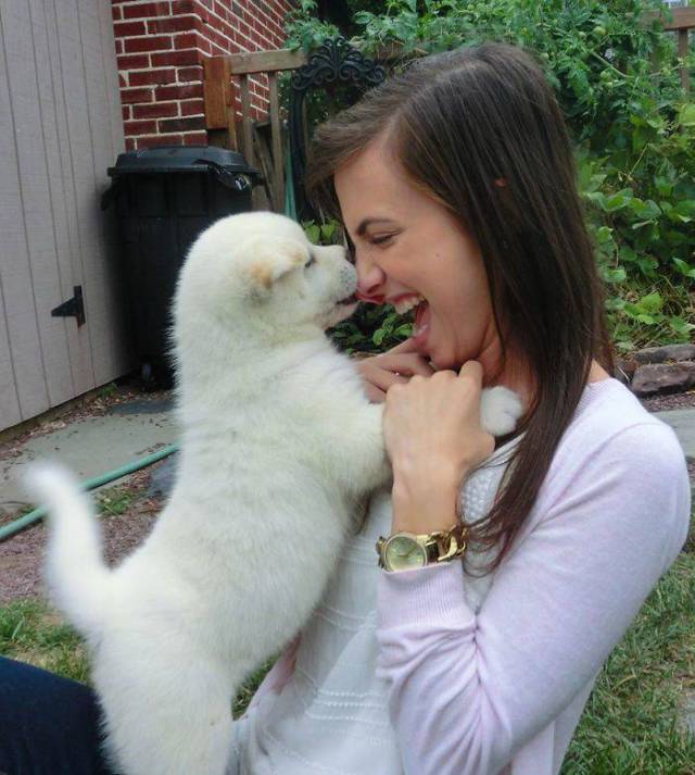 Daily Picdump