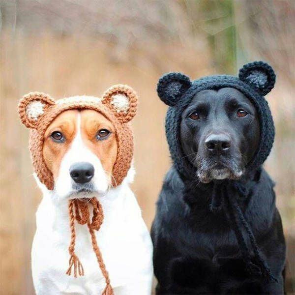 Morning Picdump