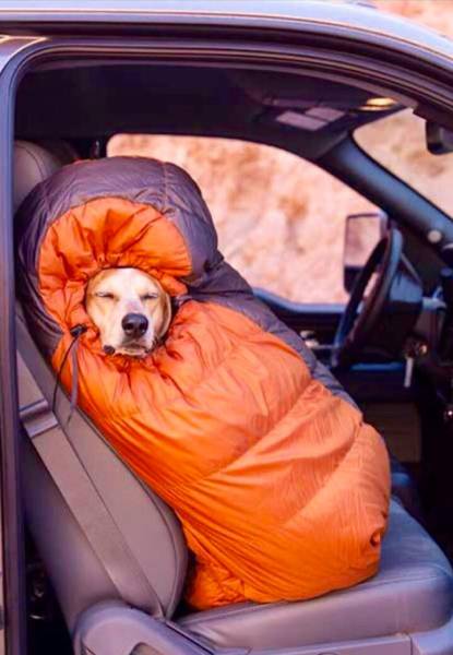 Morning Picdump