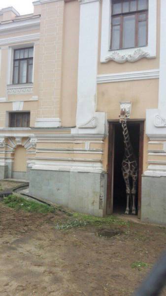 Morning Picdump