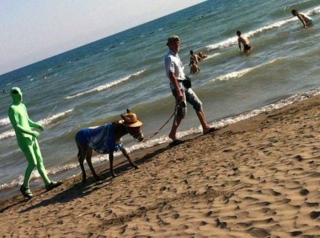 Hard-to-explain WTF Photos