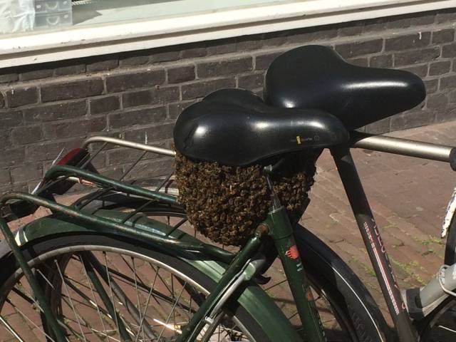 Hard-to-explain WTF Photos