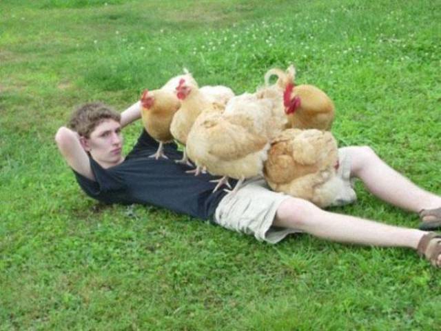Hard-to-explain WTF Photos