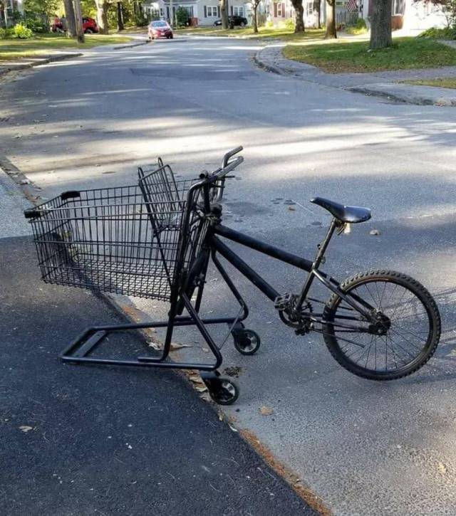 Hard-to-explain WTF Photos