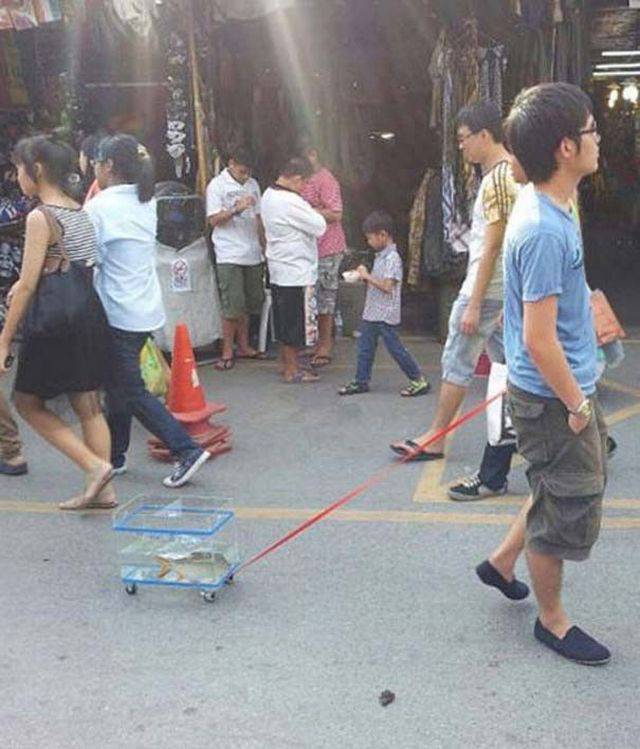 Hard-to-explain WTF Photos