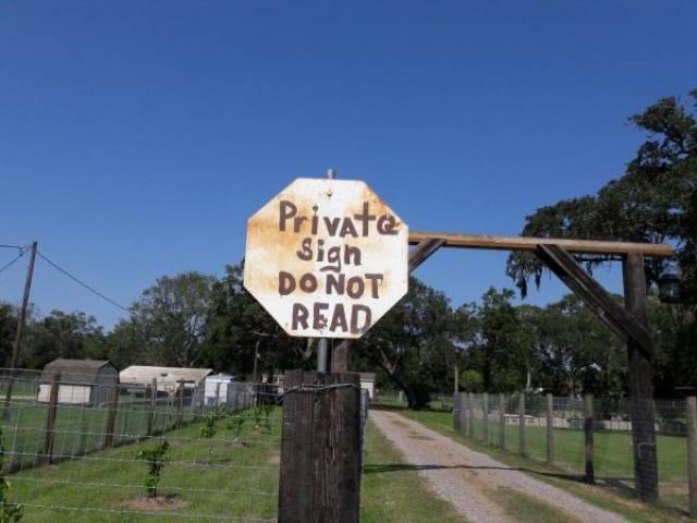 Anarchy Is Reigning In The First World