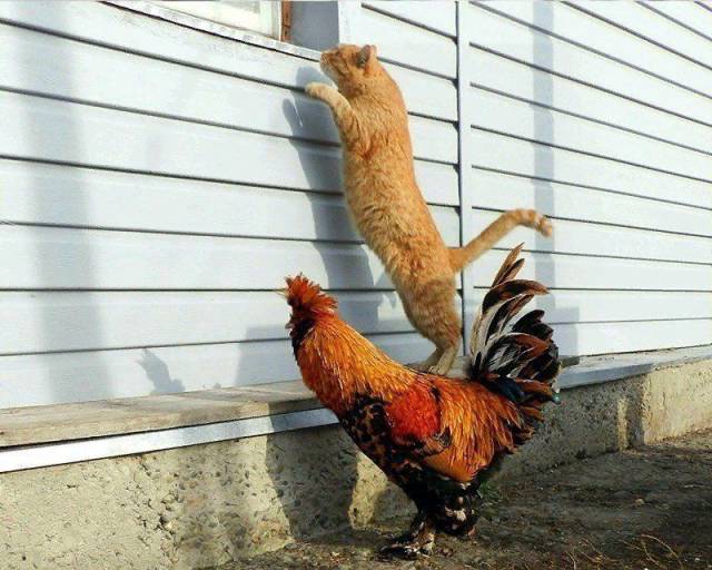 Daily Picdump