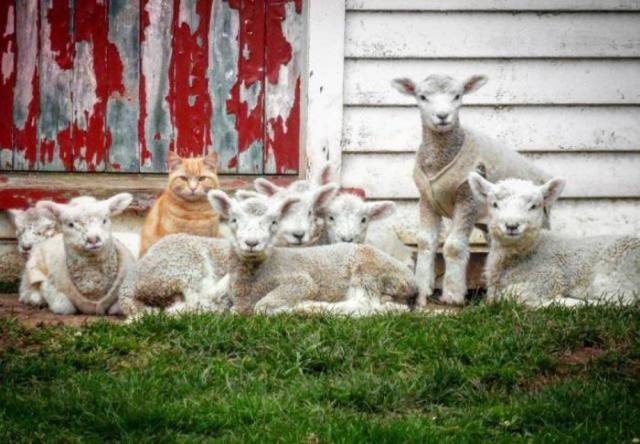 Daily Picdump