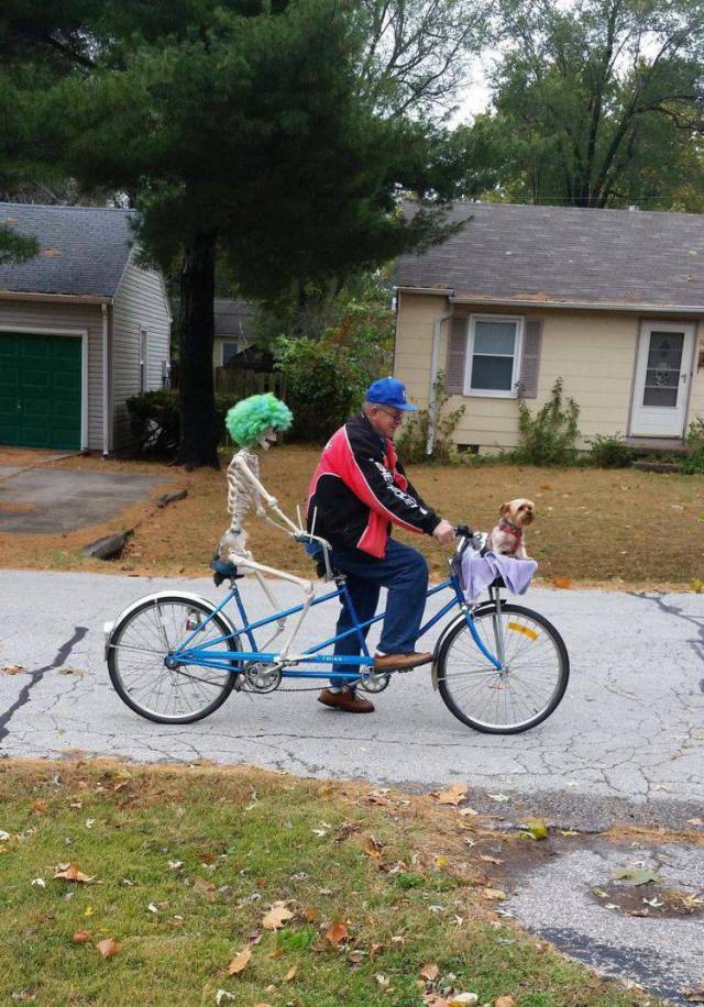 Daily Picdump