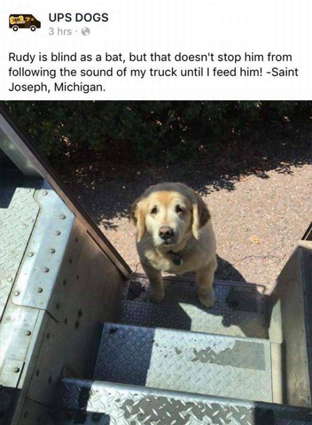 Daily Picdump