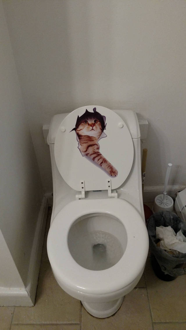 Morning Picdump