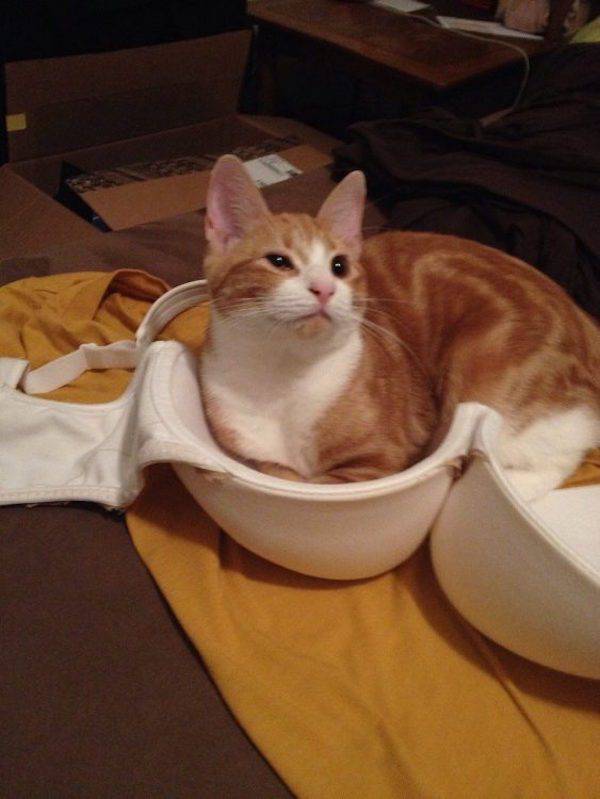 Big Boobs Can Cause Big Problems