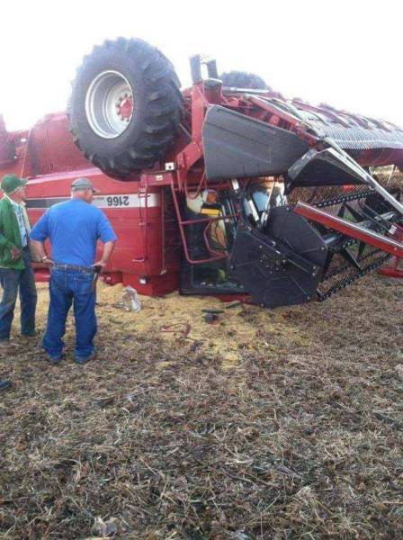 Morning Picdump