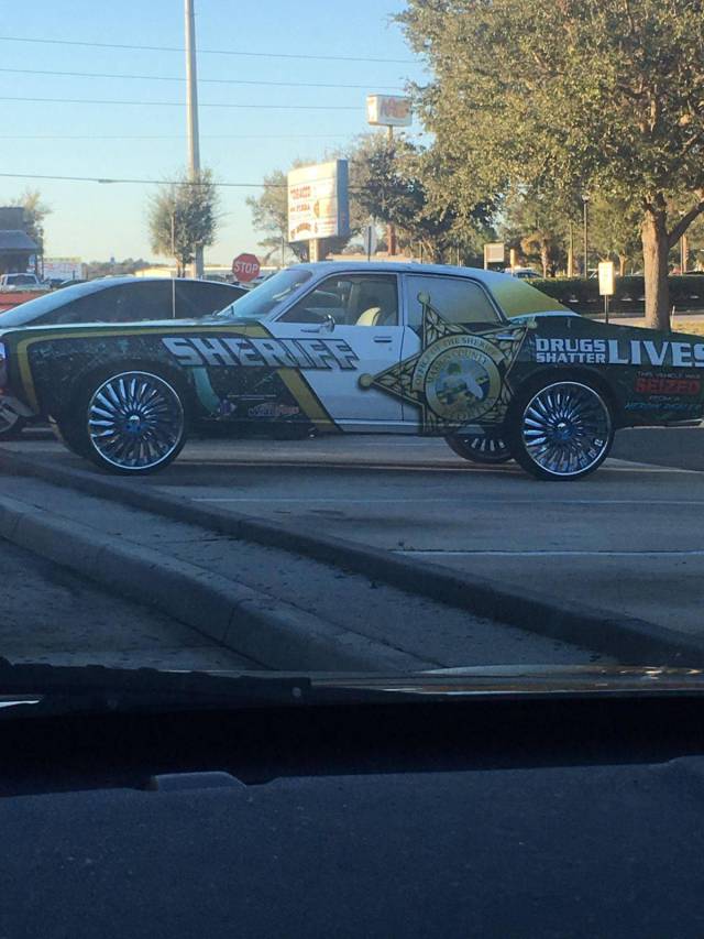 Daily Picdump [WEEKEND EDITION]