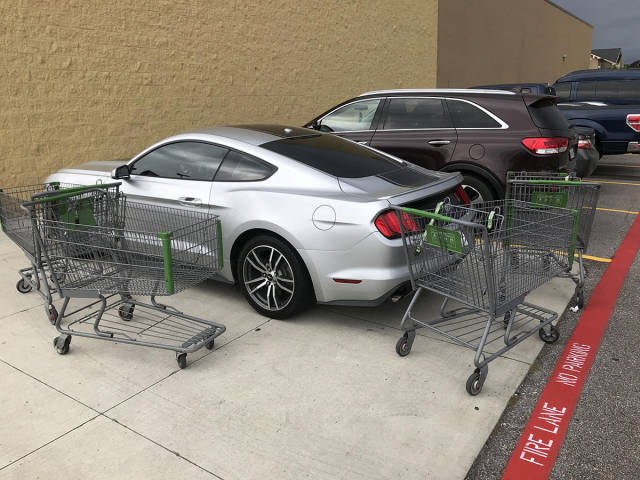 Morning Picdump