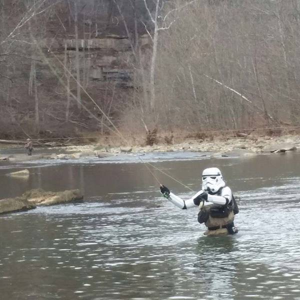 Morning Picdump