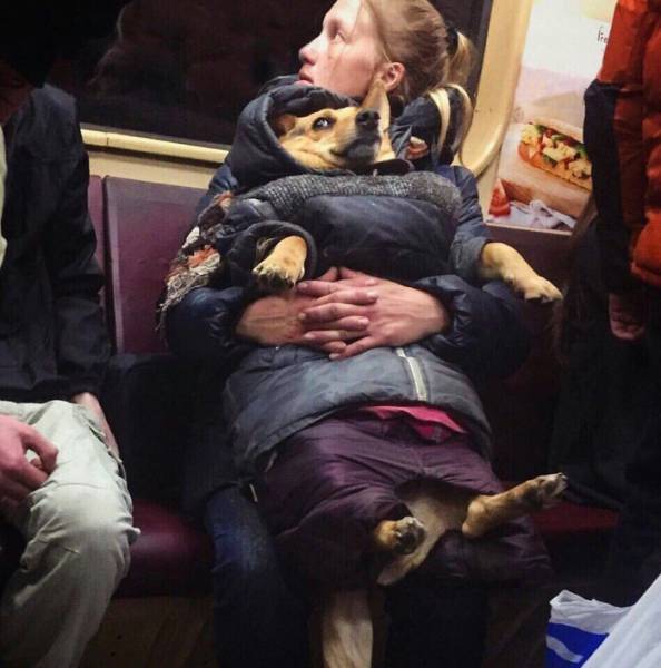 Morning Picdump