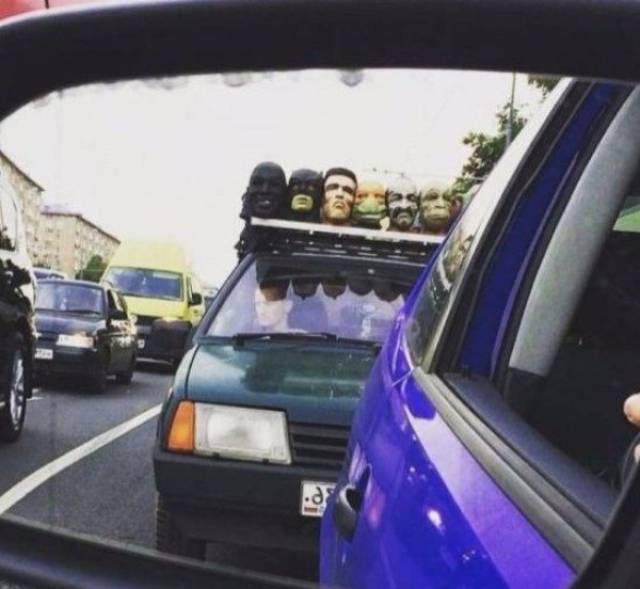 Morning Picdump