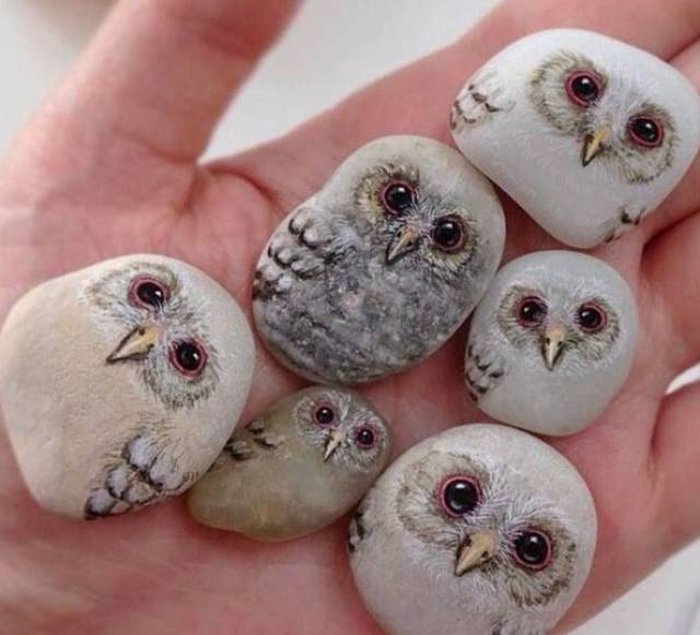 Morning Picdump